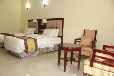 Executive_Twin_ image